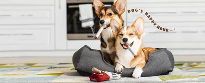 Funny Interactive Plush Dog Toys