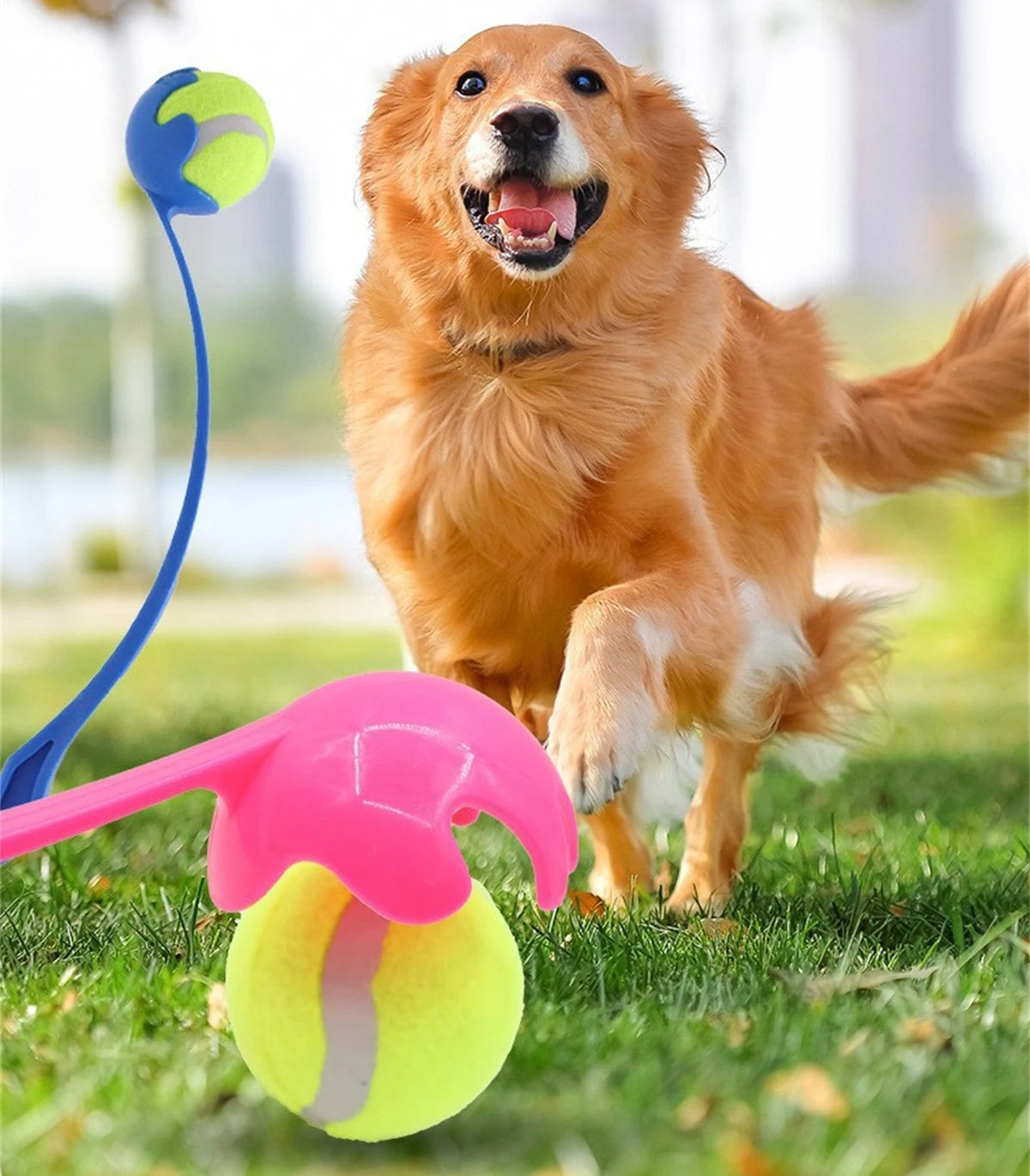 Tennis Ball Launcher Set