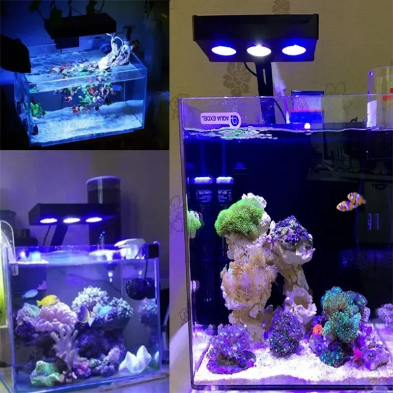 Full Spectrum LED Lamp for Aquarium Fish Tank