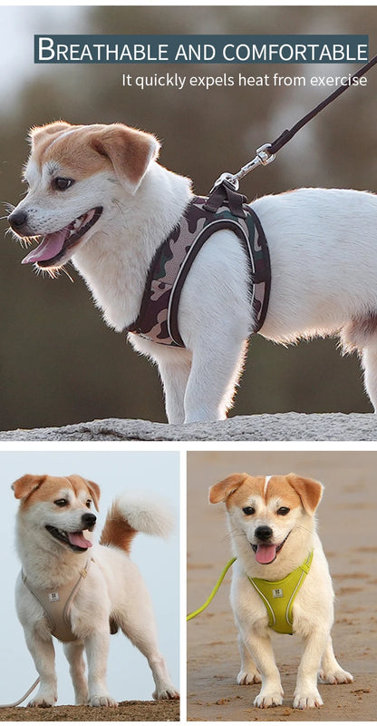 Dog Harness Leash Set