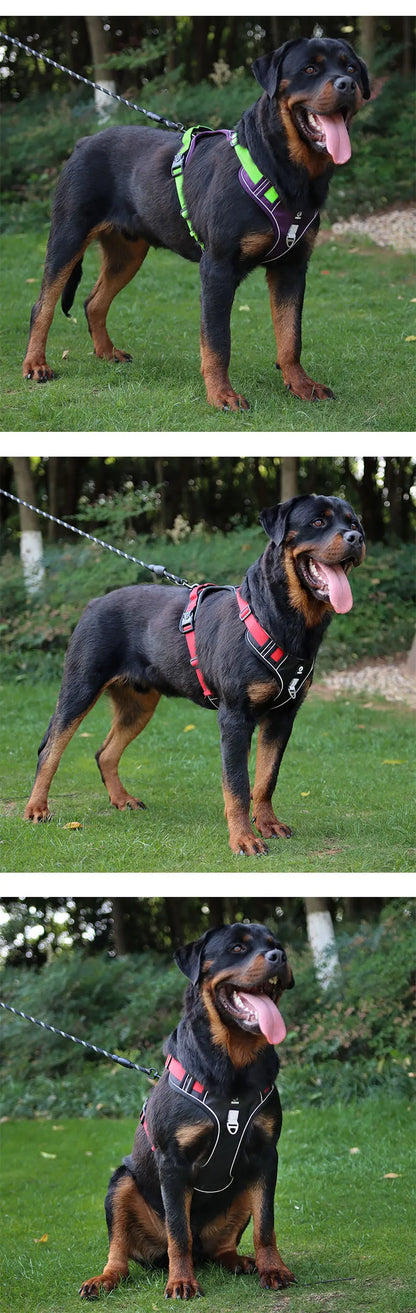 Medium Large Dog Harnesses Collar