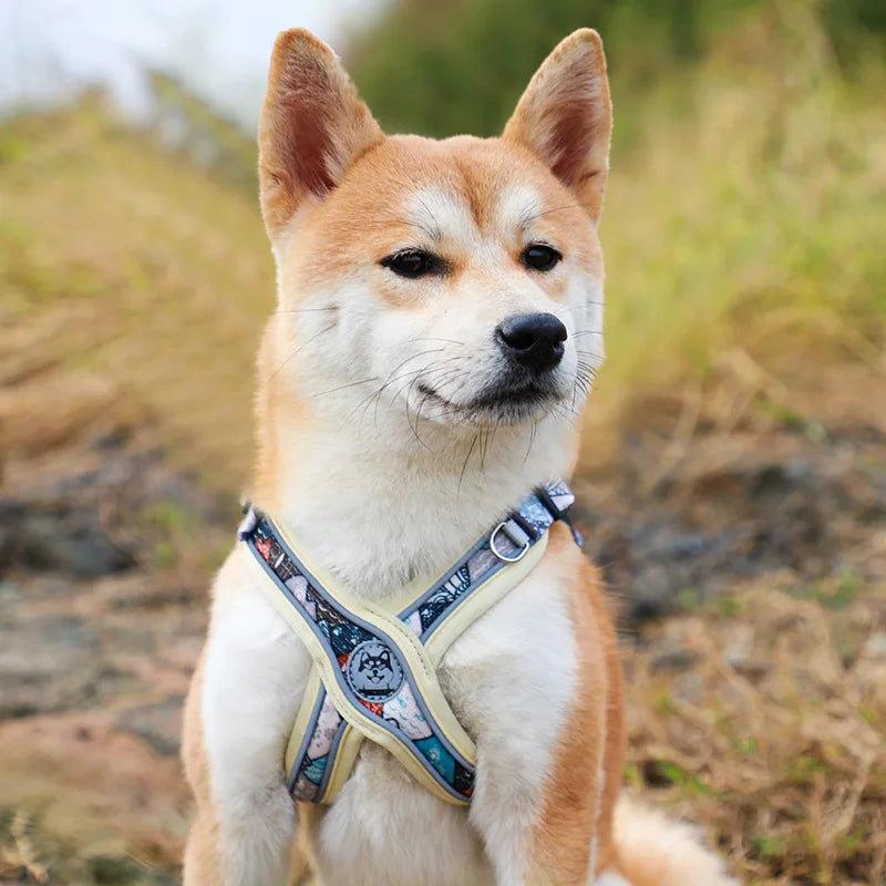 X-Shaped Harness and Leash Set