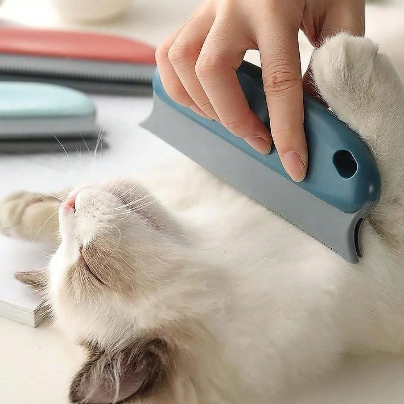Effective Hair Remover Brush