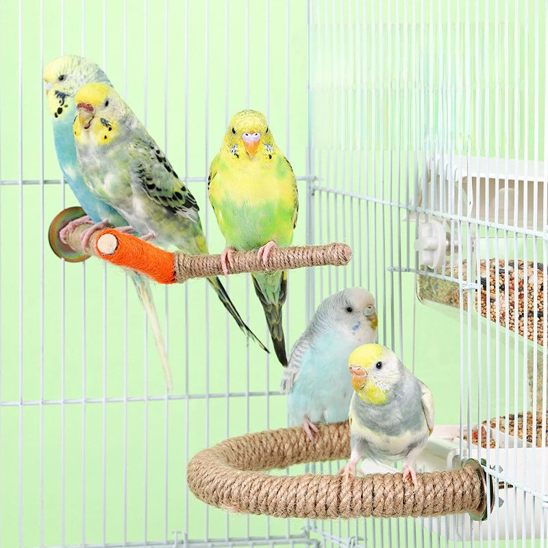 Bird Standing Rope
