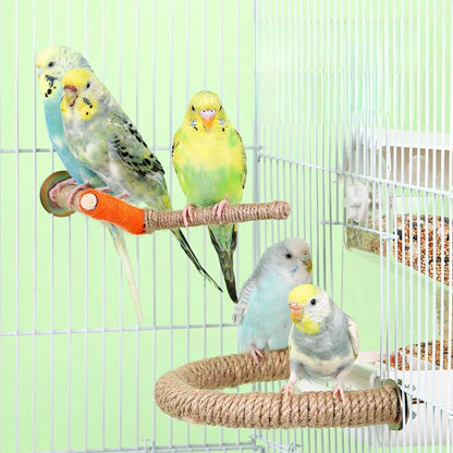 Bird Standing Rope