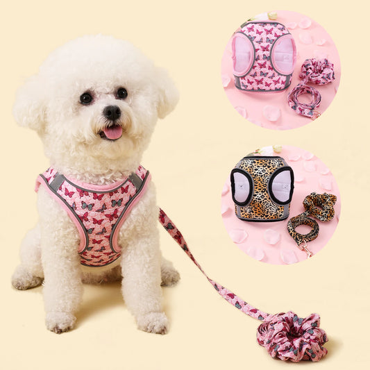 Traction Bracelet Small Dog Harness set