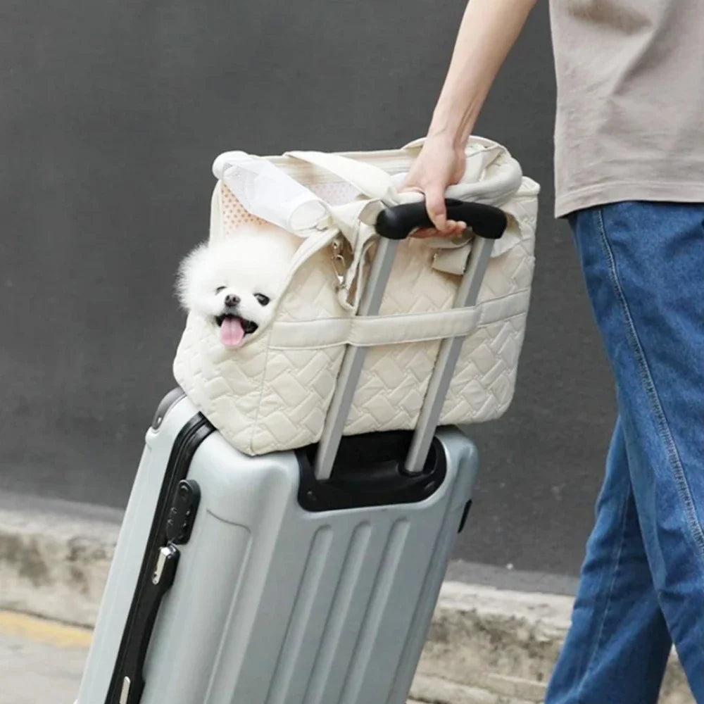 Cat Carrying Bag Escape Free