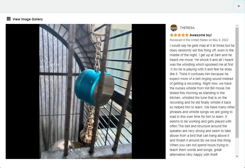 Electronic Voice Chewing Tearing  Bell