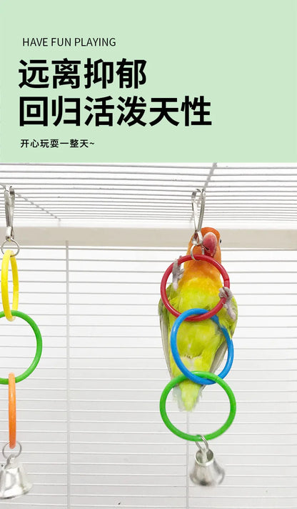 Colorful Ring Birds Use Gnawing Toy