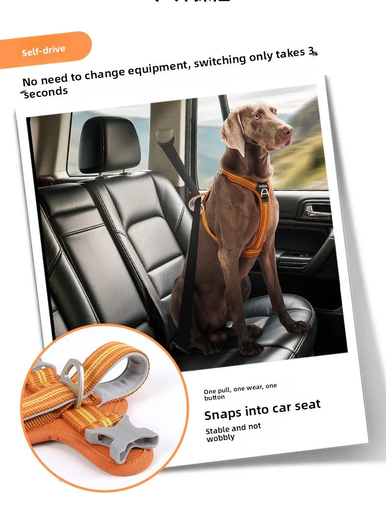 Dog Harness with Dual Handle