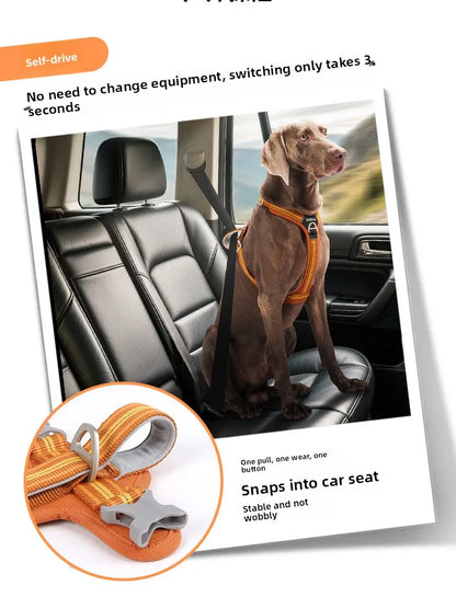 Dog Harness with Dual Handle