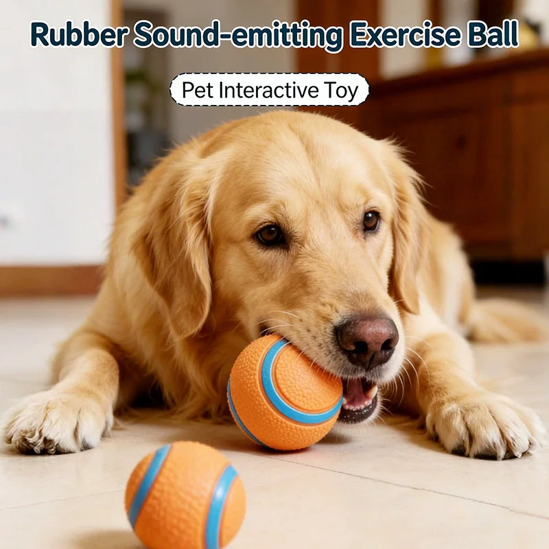 Durable Squeaky Chew Resistant Chasing Toy