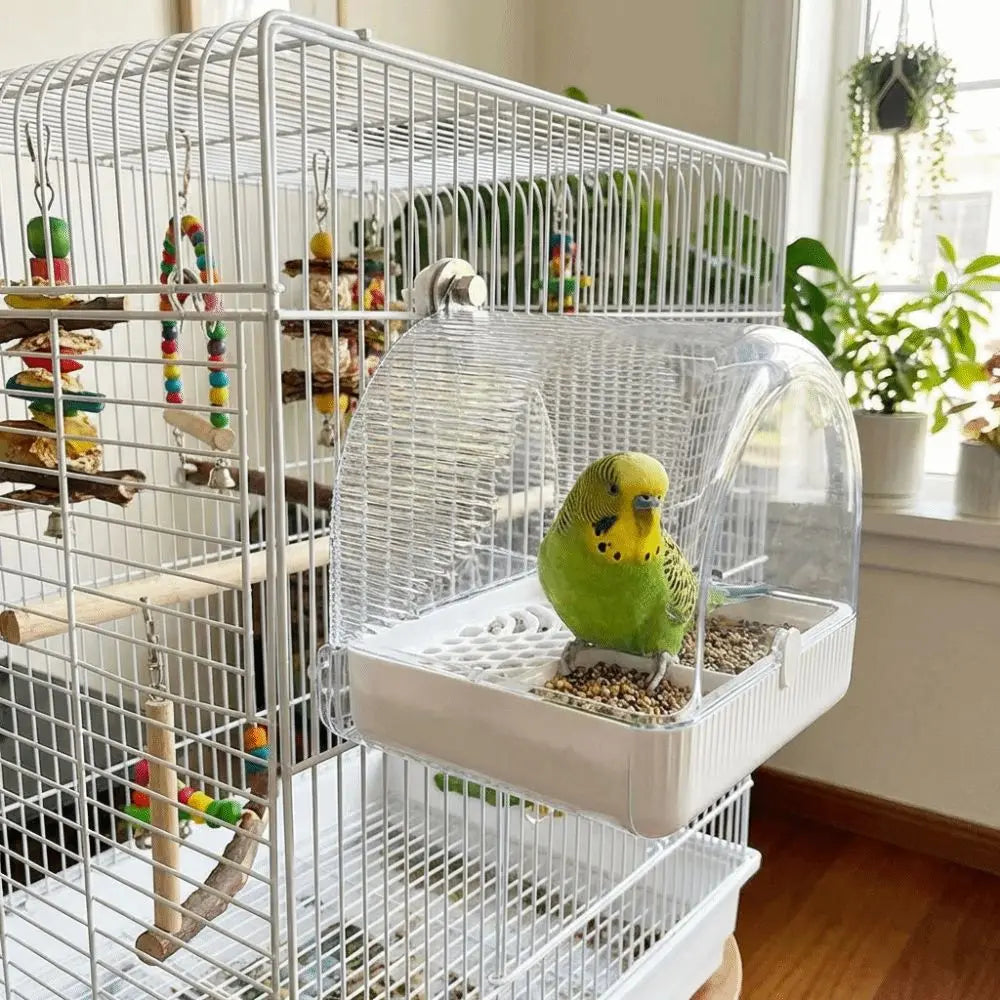 Splash Proof Food Holder Box