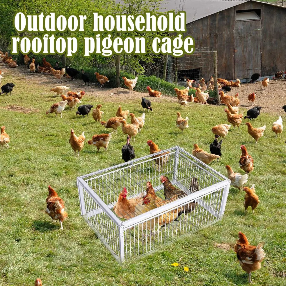 Auto Trap Bird Cage