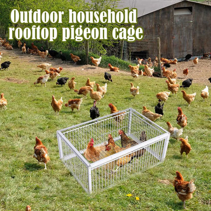 Auto Trap Bird Cage