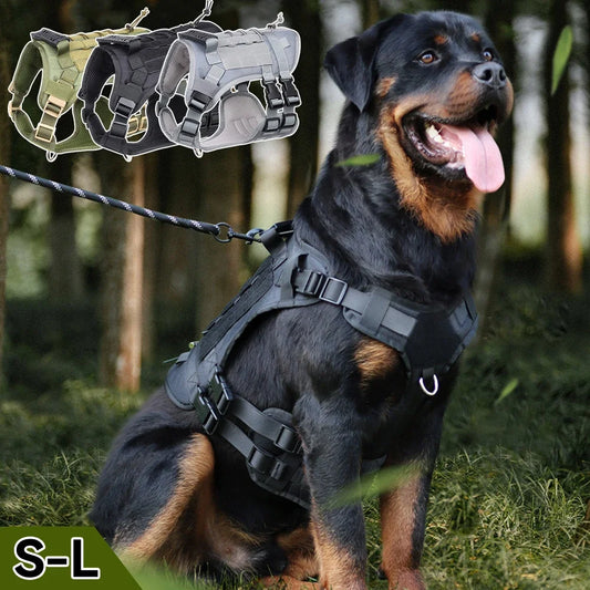 Harness And Collar For Medium Large Dogs
