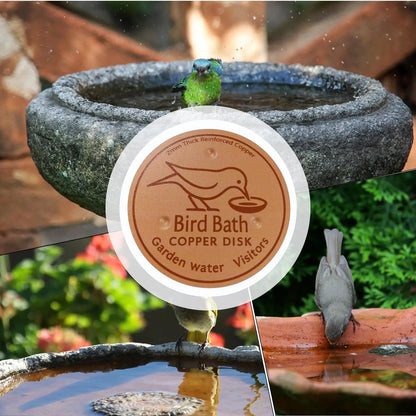 Bird Bath Copper Disk Water Fountain