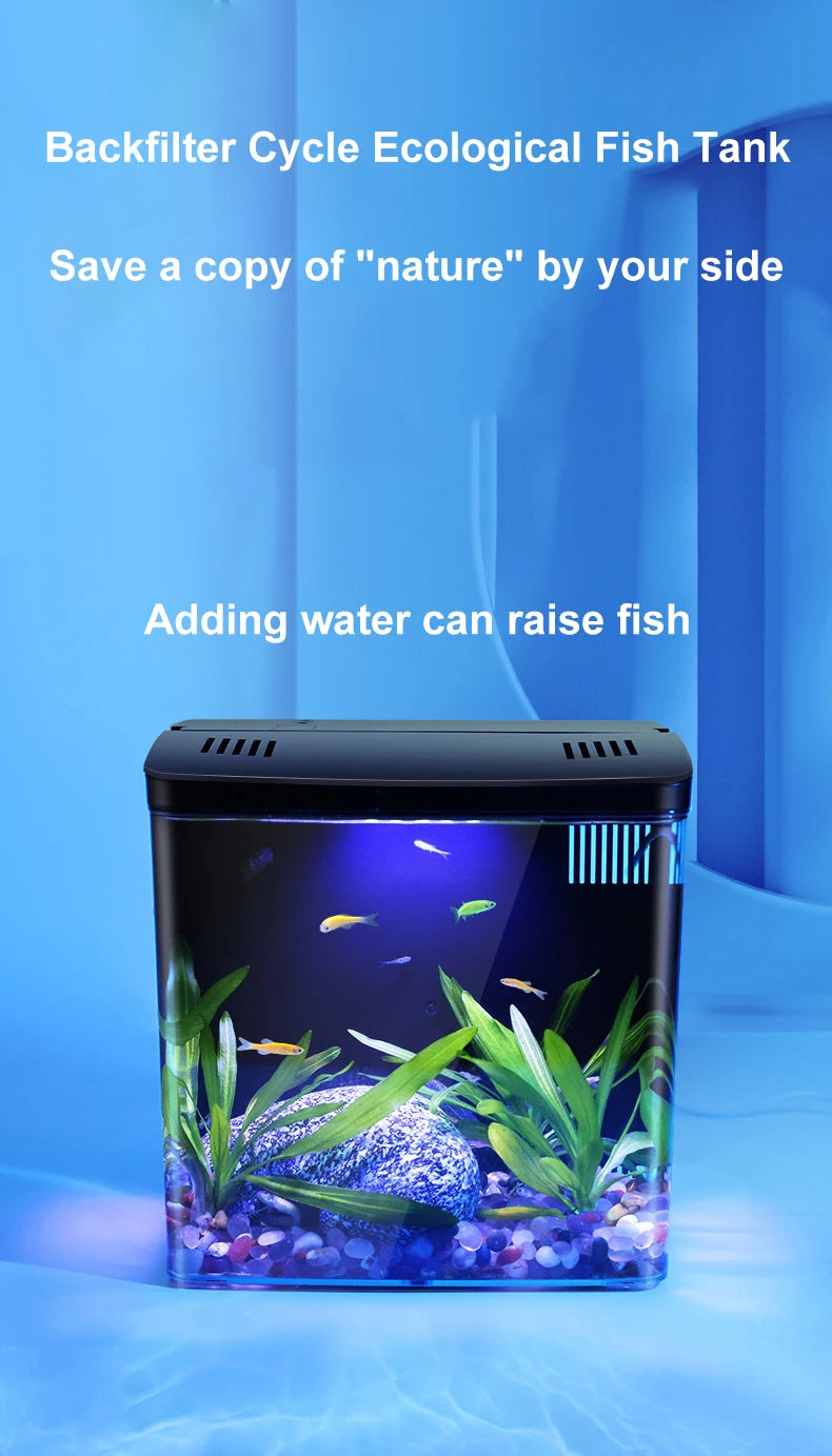 Mini Fish tank