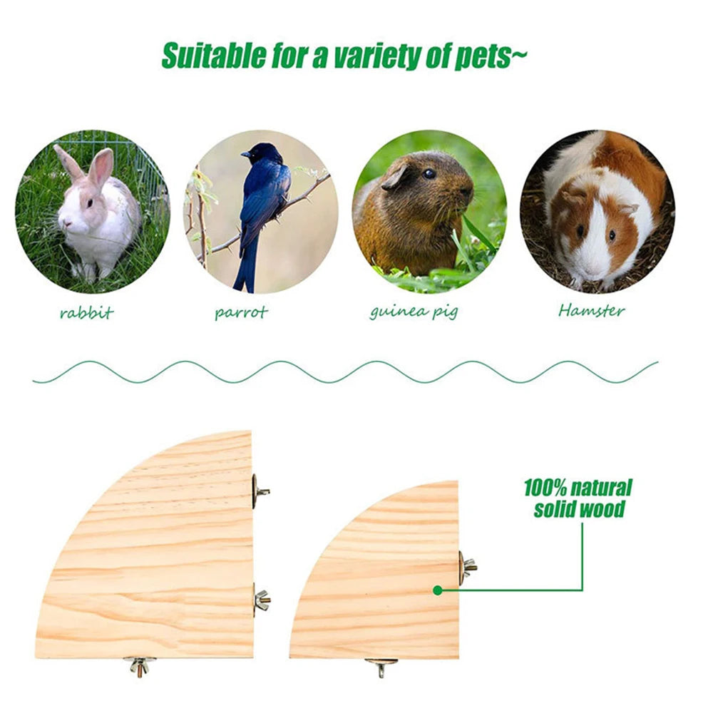 Fan-shaped Parrot Wooden Stand Rack