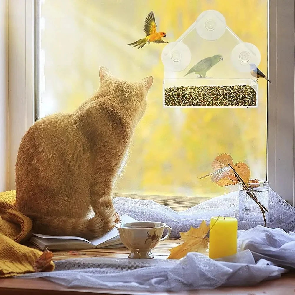 House Transparent Window Wild Bird Feeder