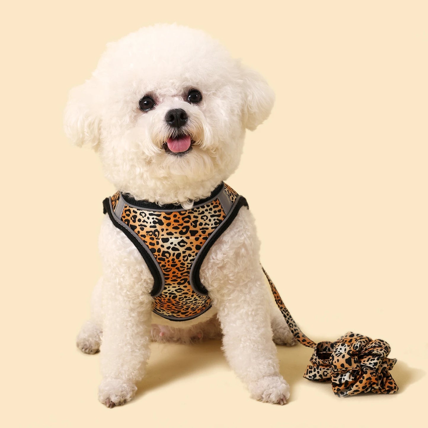 Traction Bracelet Small Dog Harness set