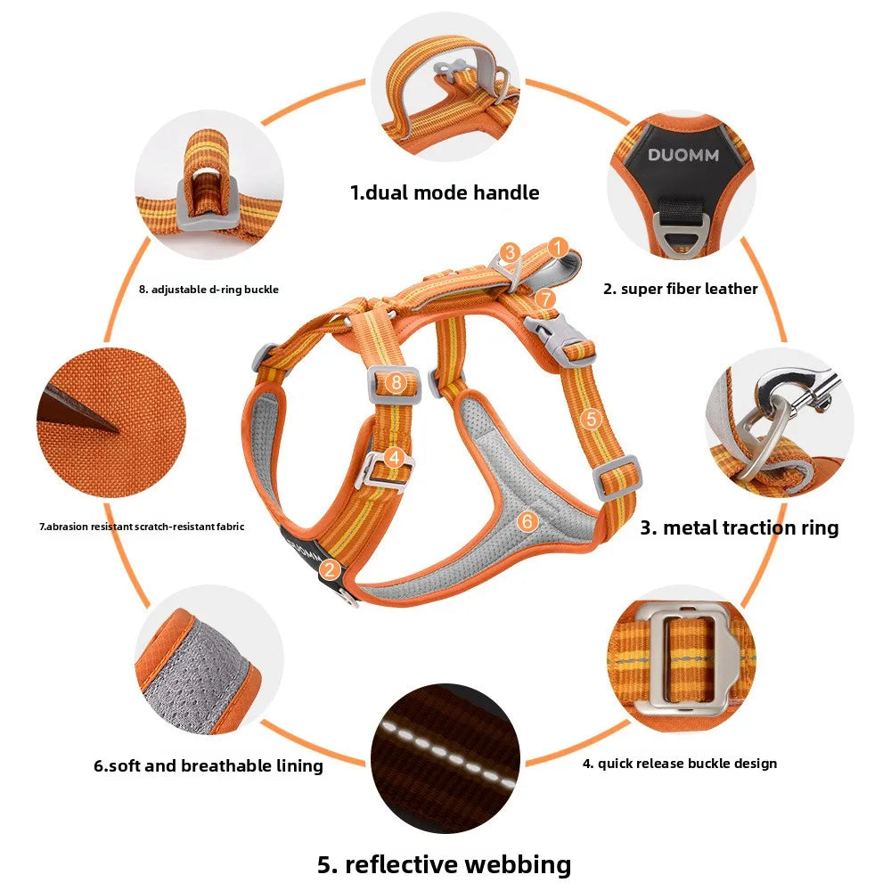 Dog Harness with Dual Handle