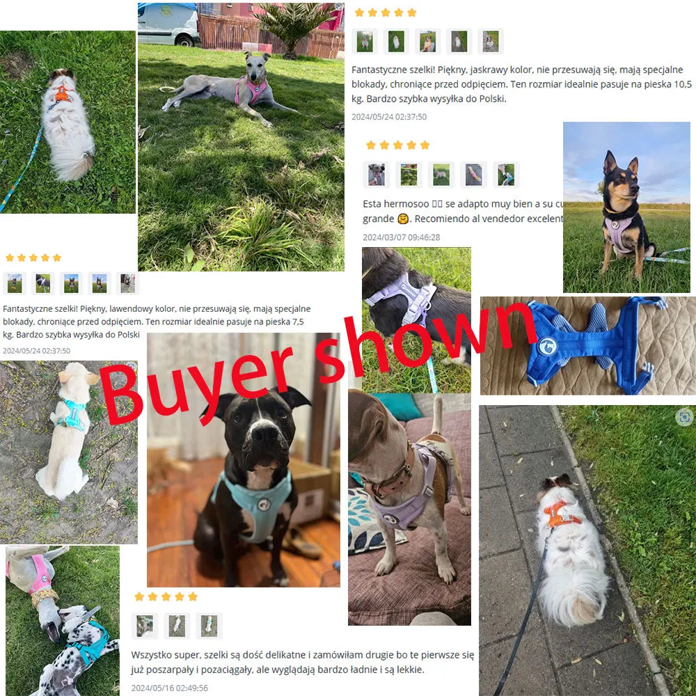 Dog Breathable Harness NO PULL