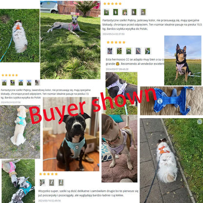 Dog Breathable Harness NO PULL