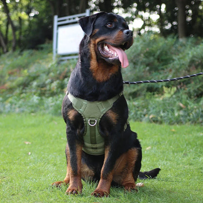 Harness And Collar For Medium Large Dogs