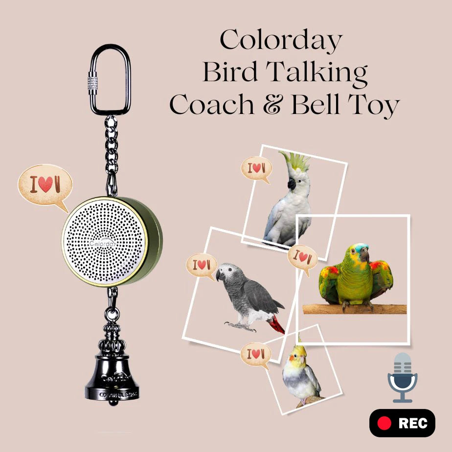 Electronic Voice Chewing Tearing  Bell