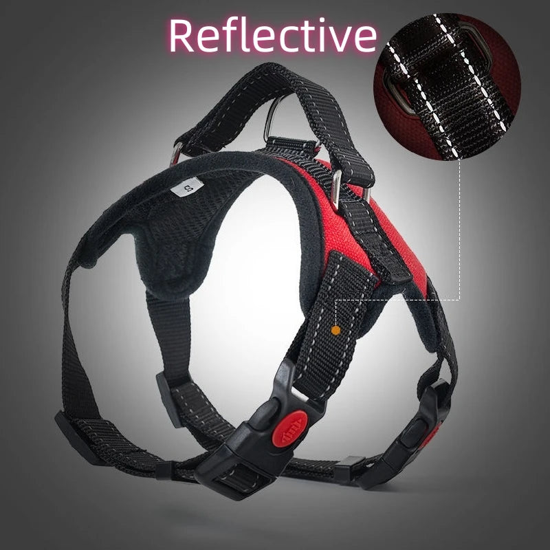Large Dog Walk Out Harness