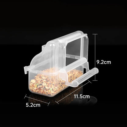 Parrot Feeder Drinker Bird