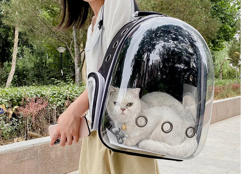 Cat Carrier