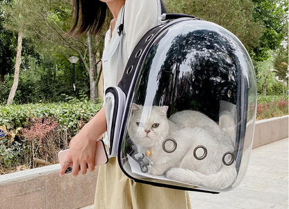 Cat Carrier