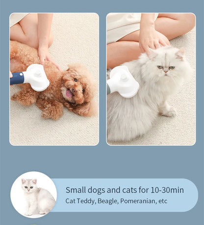 Quiet Dog Hair Dryers and Comb