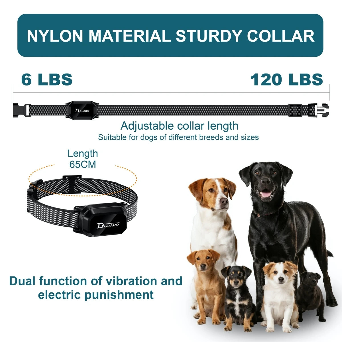Digital Dog Training Collar