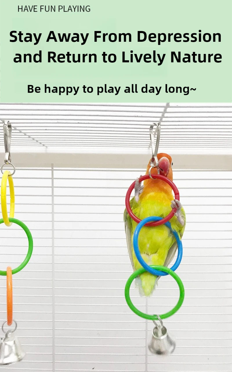 Parrot Swing Toy Bird Cage