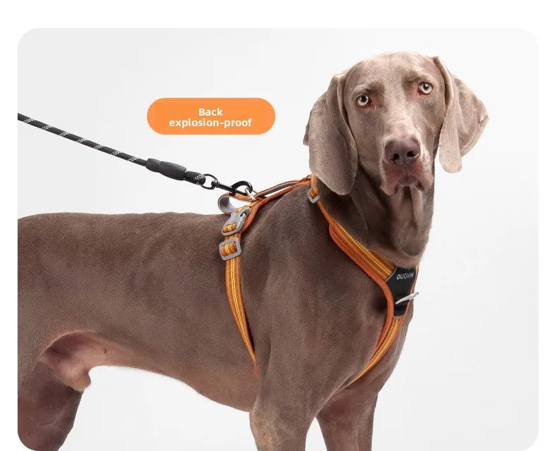 Dog Harness with Dual Handle