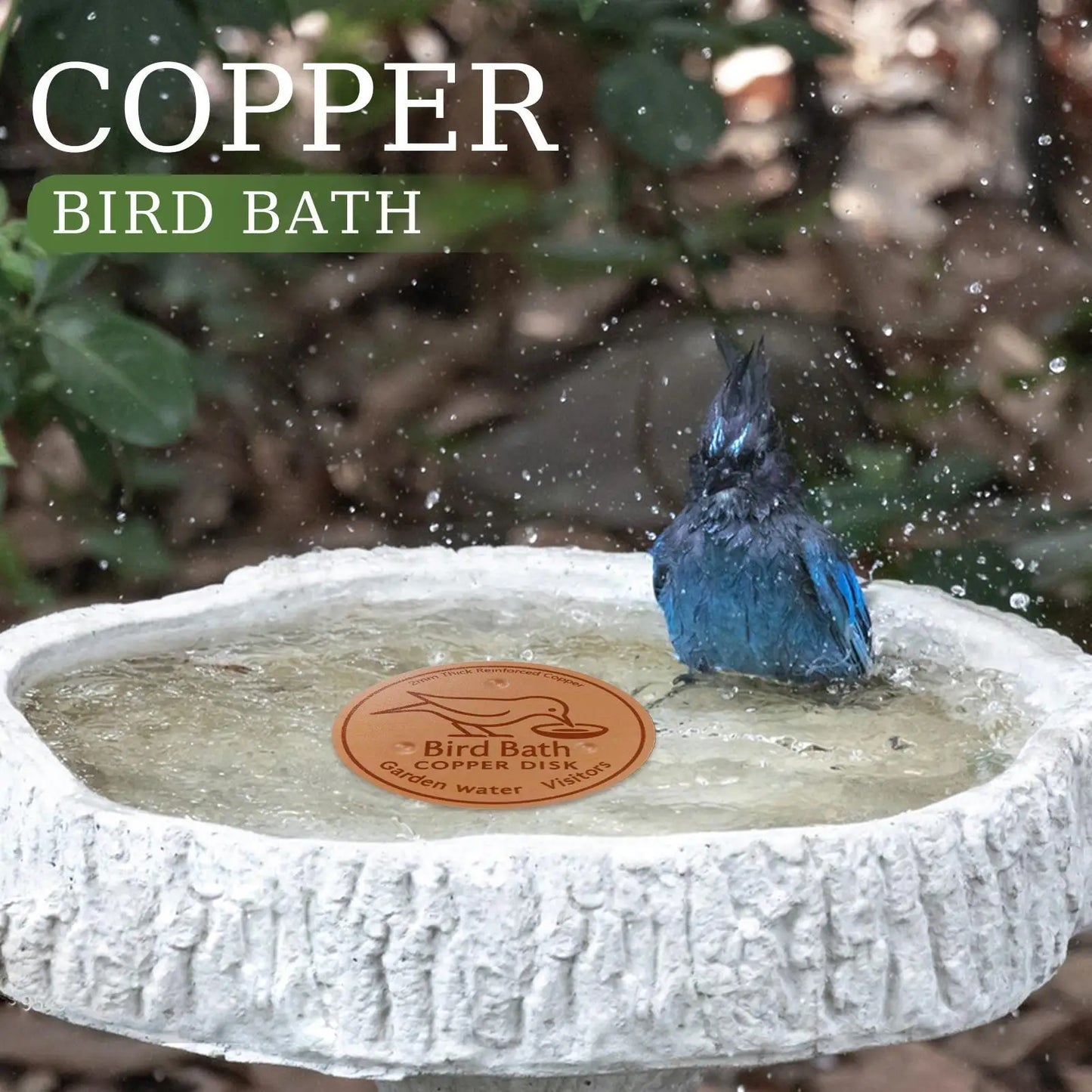 Bird Bath Copper Disk Water Fountain