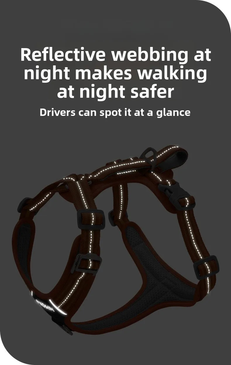 Dog Harness with Dual Handle