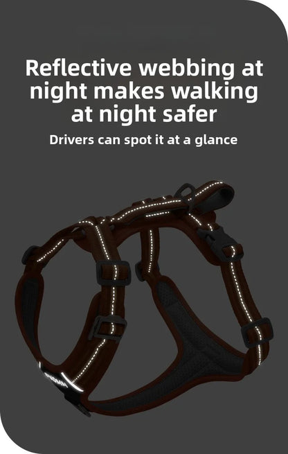 Dog Harness with Dual Handle