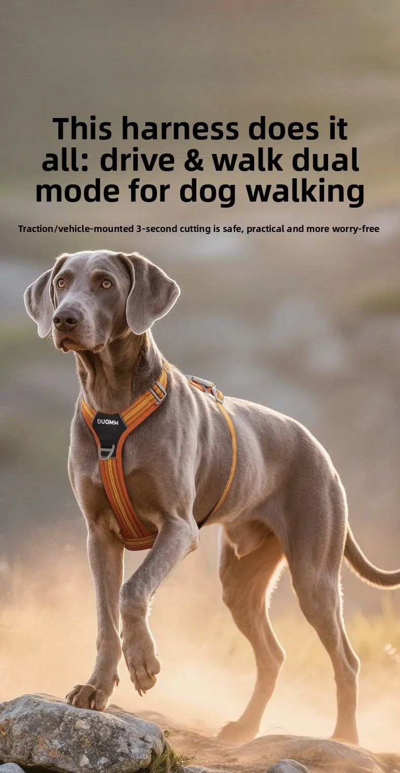 Dog Harness with Dual Handle