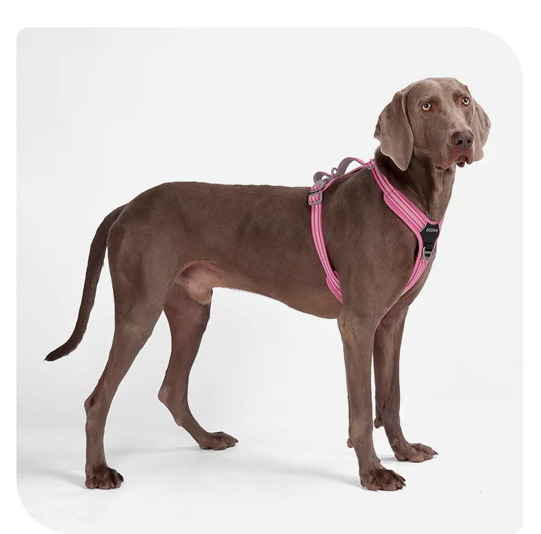 Dog Harness with Dual Handle