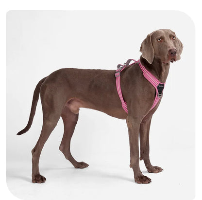 Dog Harness with Dual Handle