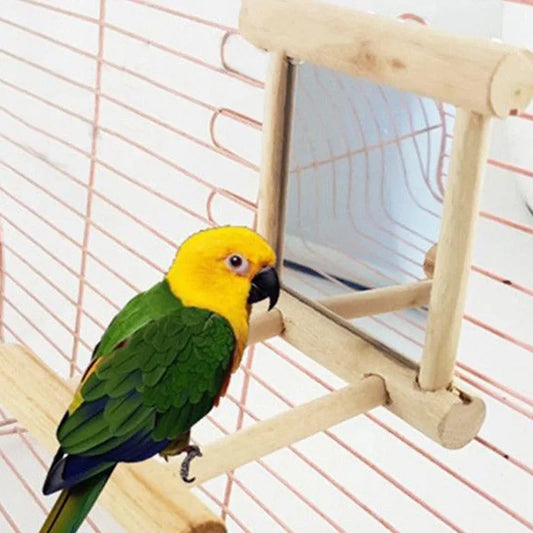 Perch Stand for Parrot Budgie