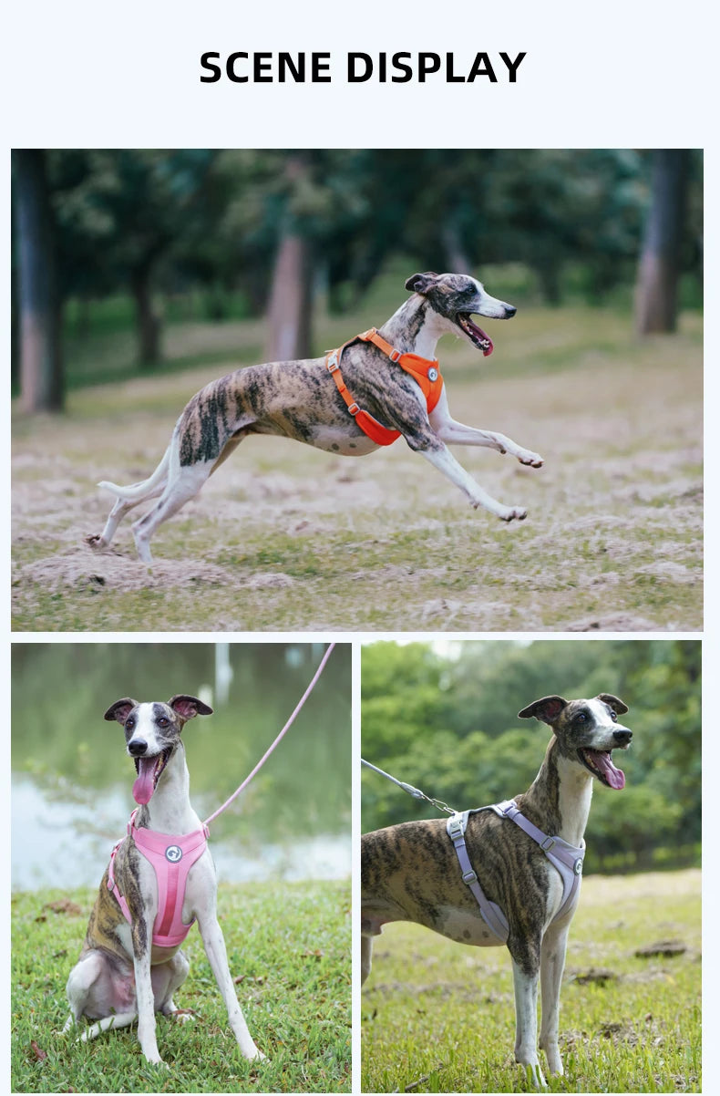 Dog Breathable Harness NO PULL