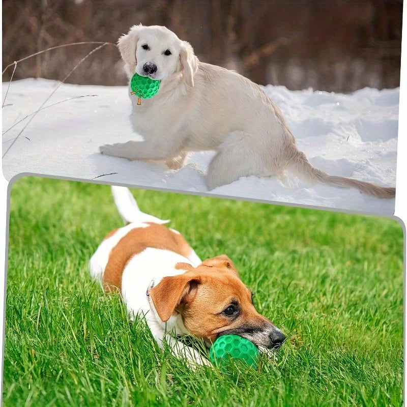 Tough Natural Rubber Dog Chew Toy