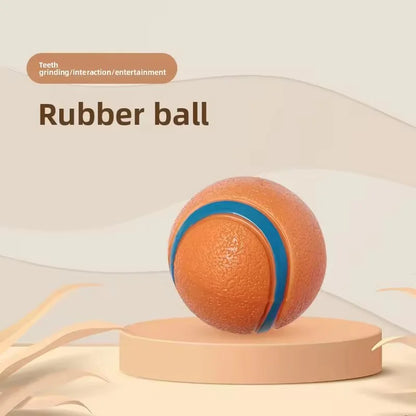 Durable Squeaky Chew Resistant Chasing Toy