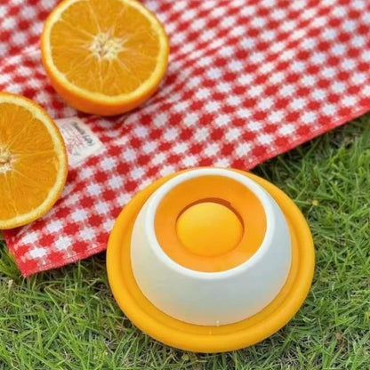 Cat Food Bowl