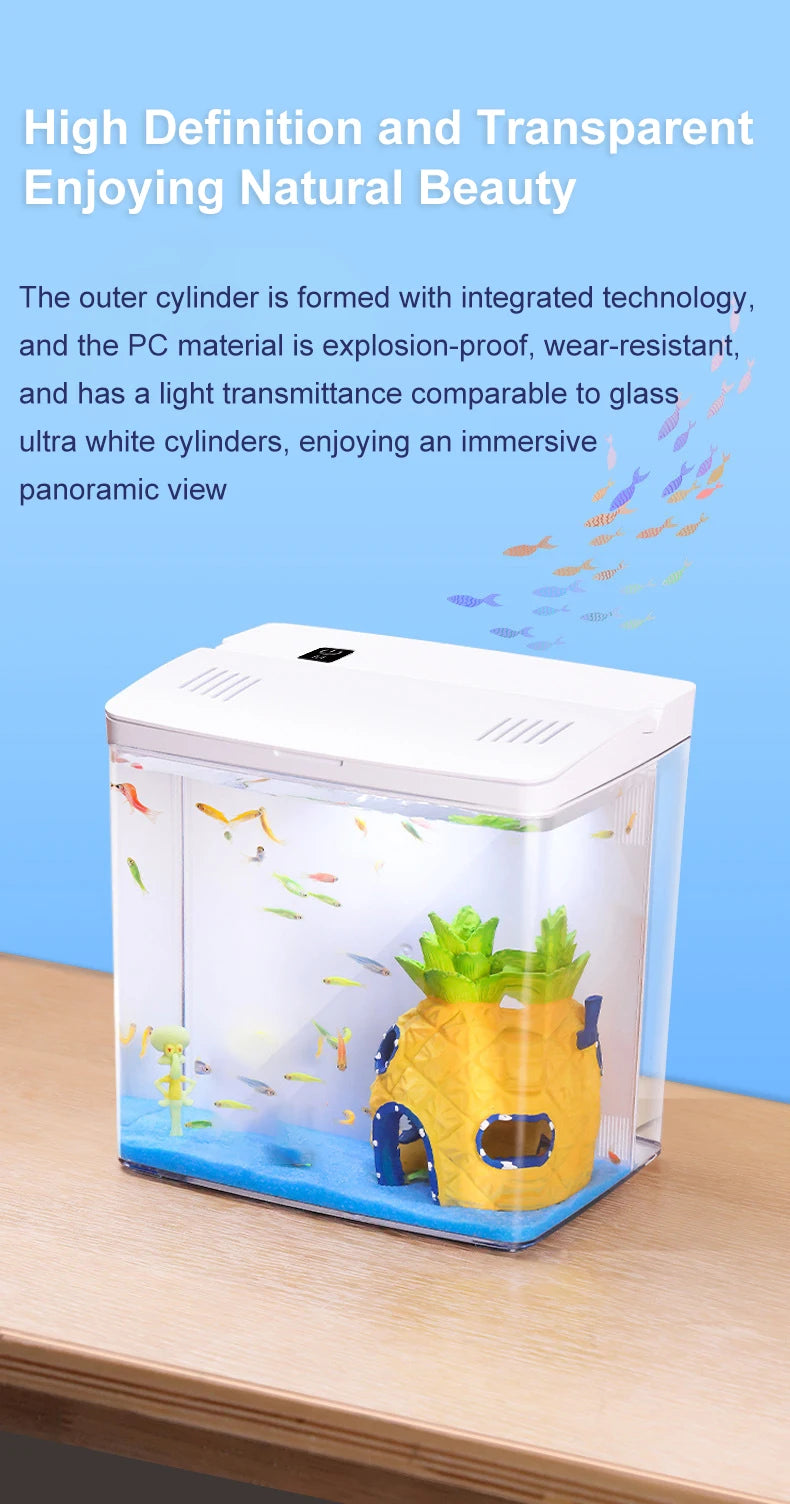 Mini Fish tank